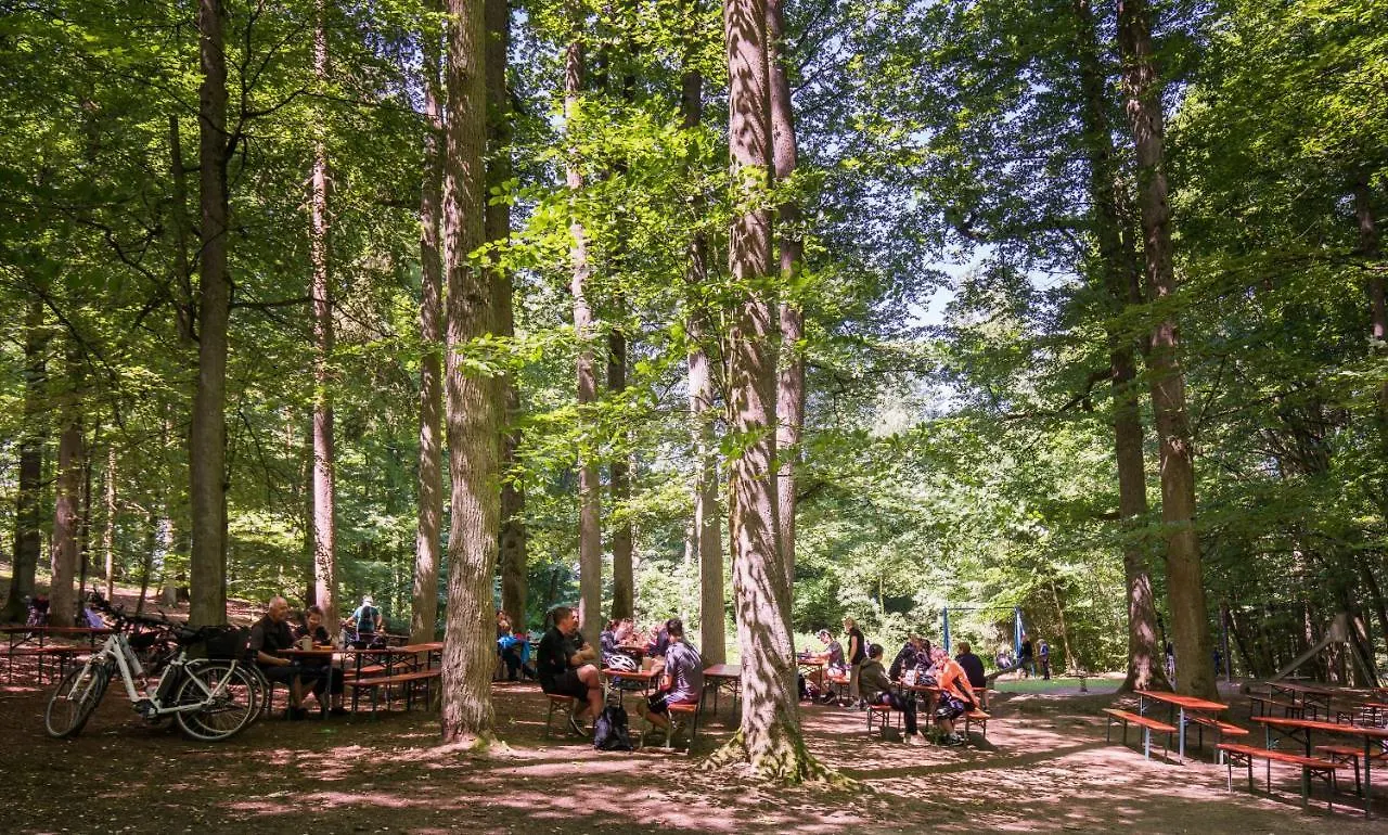 Brauereigasthof Zum Loewenbraeu 3*, Adelsdorf Germany